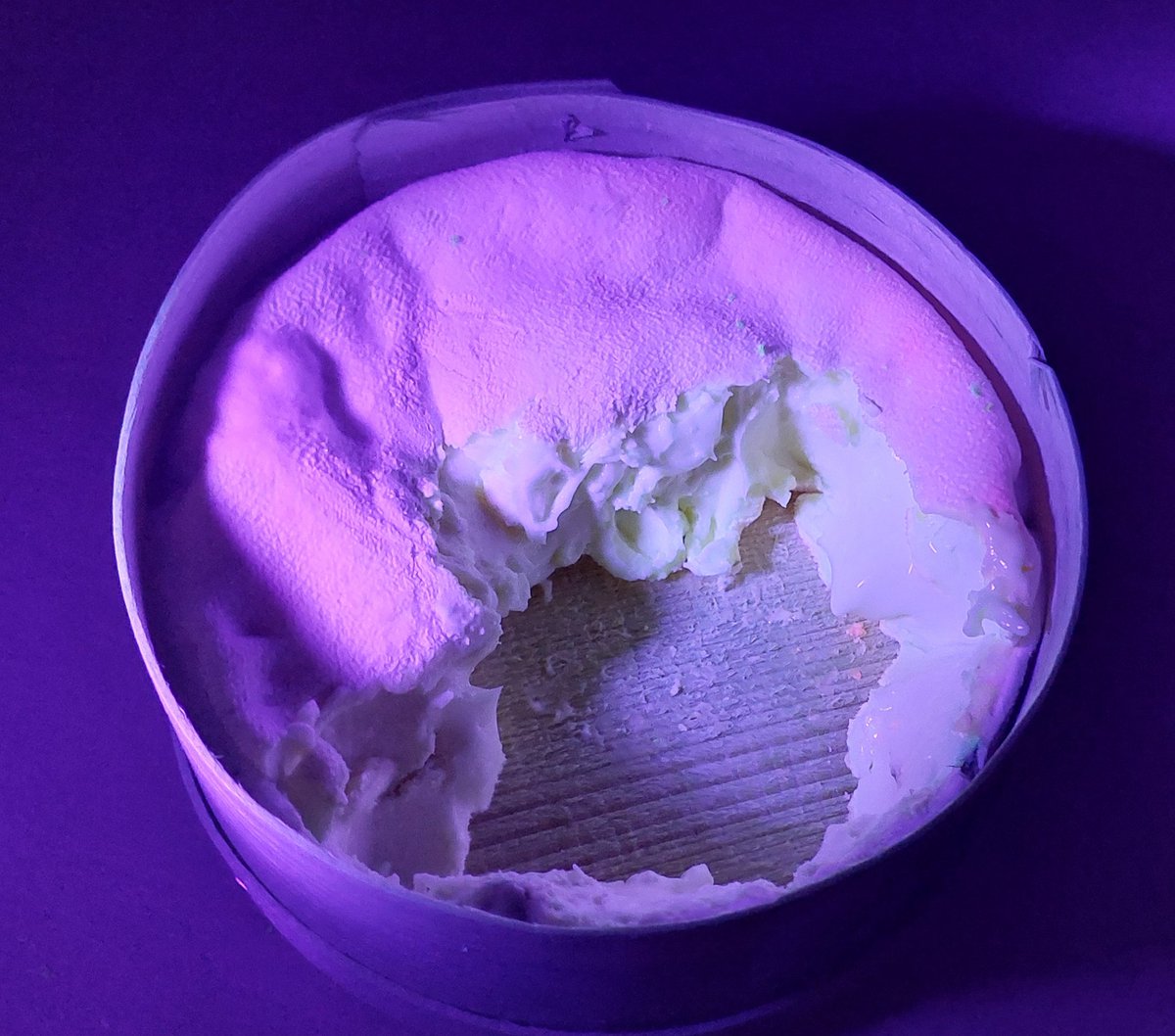 John Dudley (@johnmdudley) on Twitter photo Fluorescence discovery of the day! The famous French cheese Mont d'Or displays an amazing shade of pink under UV light! What's this? Another reason to eat it <a href="/CocoLapre/">Coraline Lapre</a> Fluorescence discovery of the day! The famous French cheese Mont d'Or displays an amazing shade of pink under UV light! What's this? Another reason to eat it <a href="/CocoLapre/">Coraline Lapre</a>