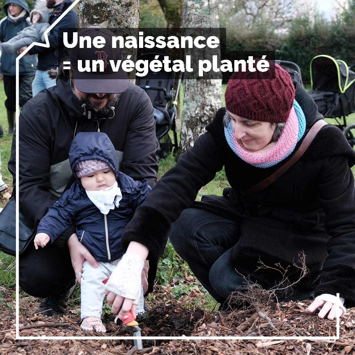 <a href="/NantesMetropole/">Nantes Métropole</a> <a href="/caf44_actus/">Caf de Loire-Atlantique</a> 2/2 Les familles peuvent alors s’inscrire à l’opération « Une naissance = un végétal planté », initiée par la Ville en 2022. Déjà 2 304 plantations réalisées qui favorisent la biodiversité et atténuent le changement climatique. #directSH