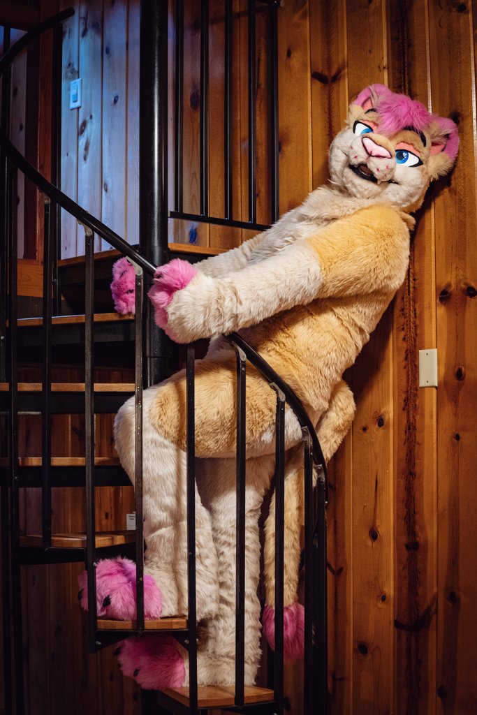 That's right y'all, it's #MFYMonday 🥰

📷: <a href="/RottDogDavid/">David Forest</a>
🧵: <a href="/MadeFurYou/">Made Fur You</a>