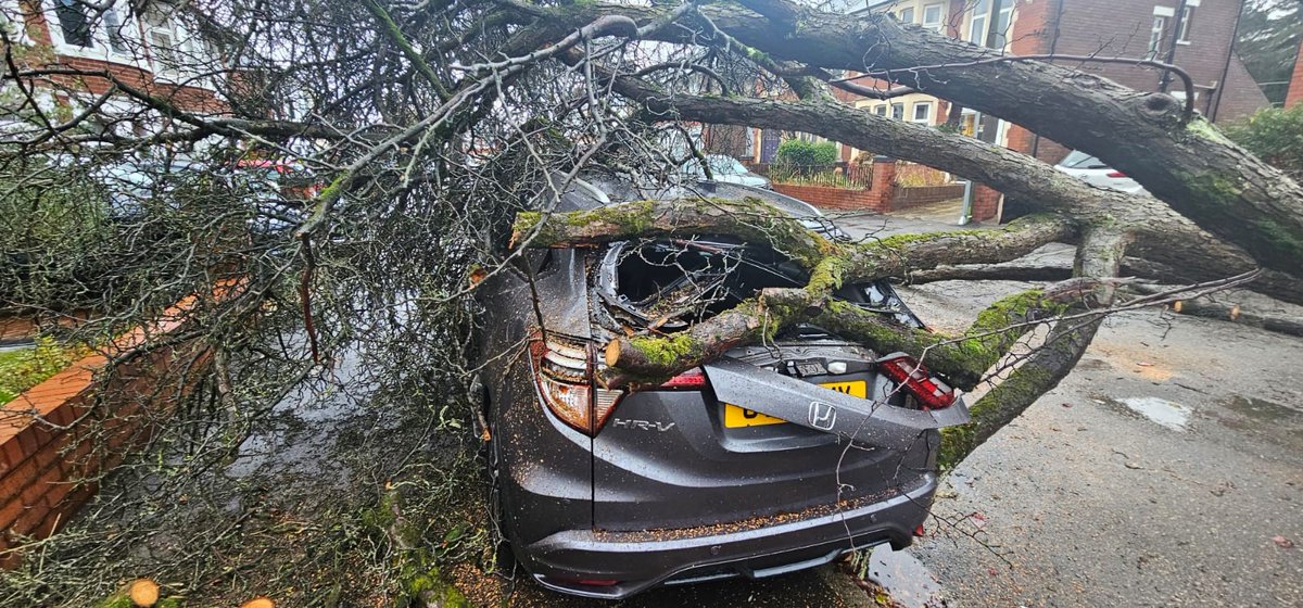 cardiffcouncil's tweet photo. #StormDarragh hit hard, but our teams #WorkingForCardiff responded swiftly. 189 trees affected–more in 1 night than in 20yrs! Teams worked hard to clear debris&amp;reopen roads. Essential services like Social Services&amp;Meals on Wheels continued their vital work https://t.co/77RPTgf5W2 https://t.co/9A73R5oiRk