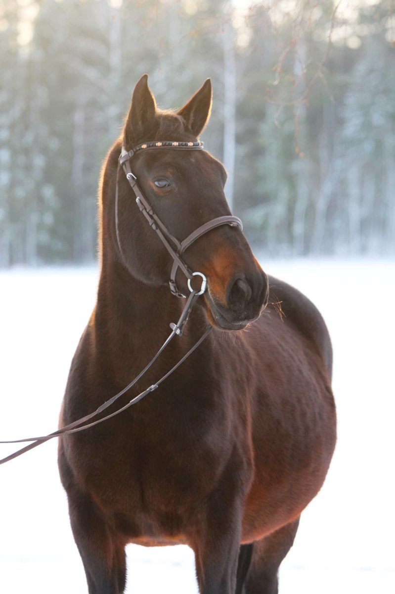 flugan05's tweet photo. @alIthemadmen Själv har man en mamma som kan fotografera helt gratis, medan en själv tar bilder som ser ut som den sista https://t.co/VjlYJRRO7W