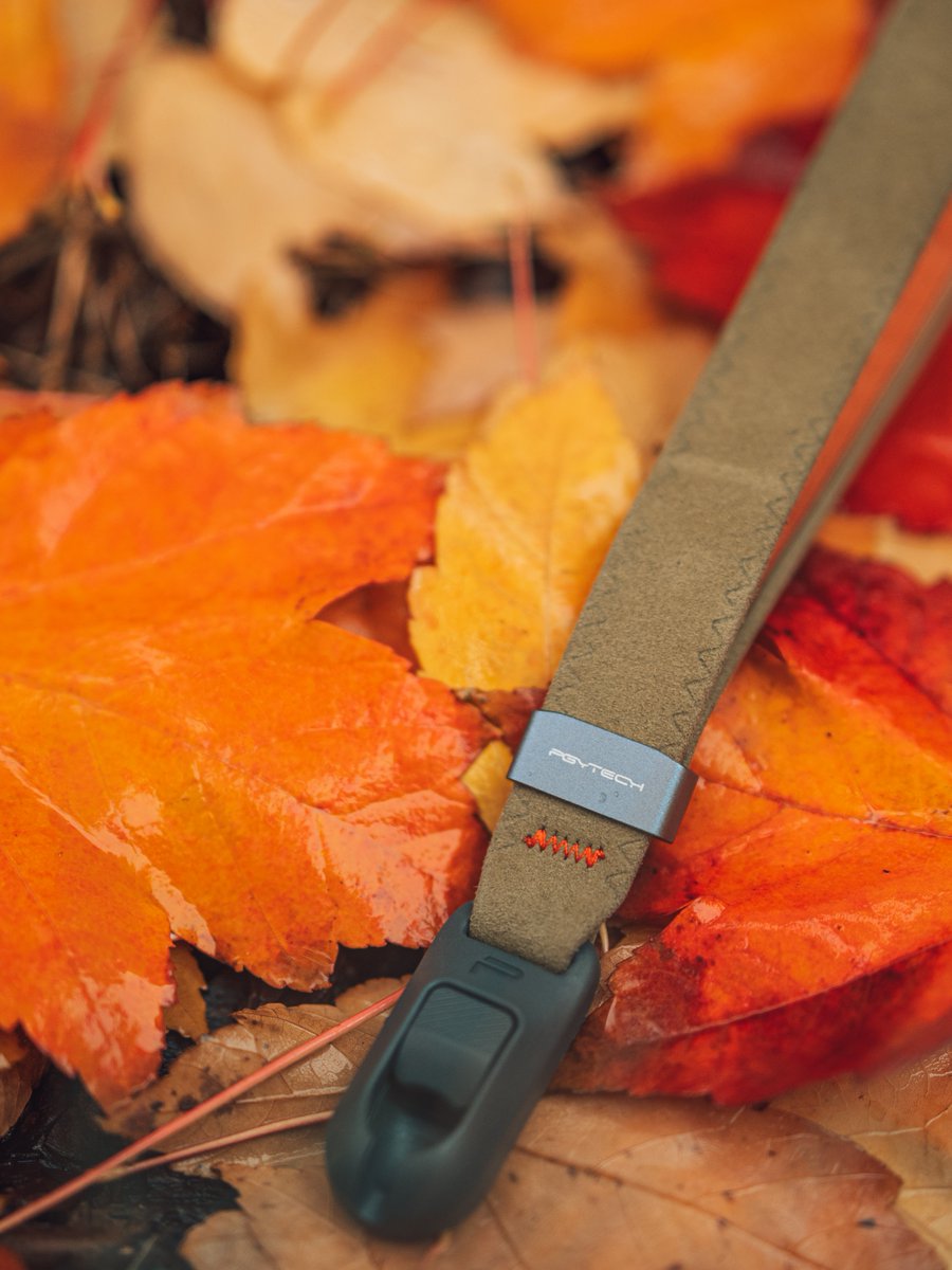 PGYTECH_global's tweet photo. Embrace the season's essence with PGYTECH wrist strap and autumn's fiery maple leaves. 🍁✨
@hin29_photography
#pgytech #outdoor #camerastrapair #shoulderstrap #wriststrap #photography #videography #adventureready #sony #canon #dji #insta360 #gopro https://t.co/NHgqk4APsA