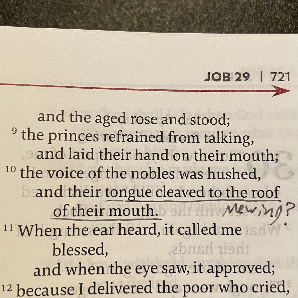 Looksmaxxing is biblical