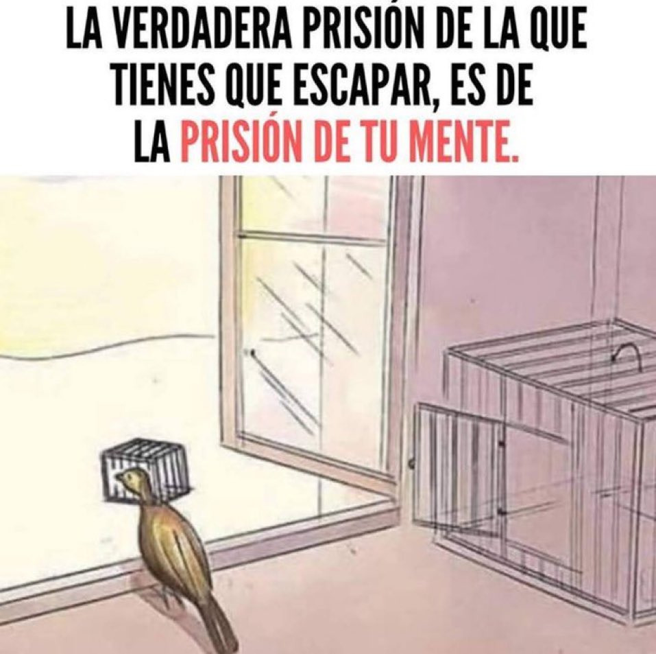 L’escola té un doble repte:
1r. Educar alumnes com pardals, lliures i exploradors. 
2n. Alliberar mestres de patrons de pensament negatius, re_productius i autoritaris. 
Des de la #confiança, #explorar #alternatives.