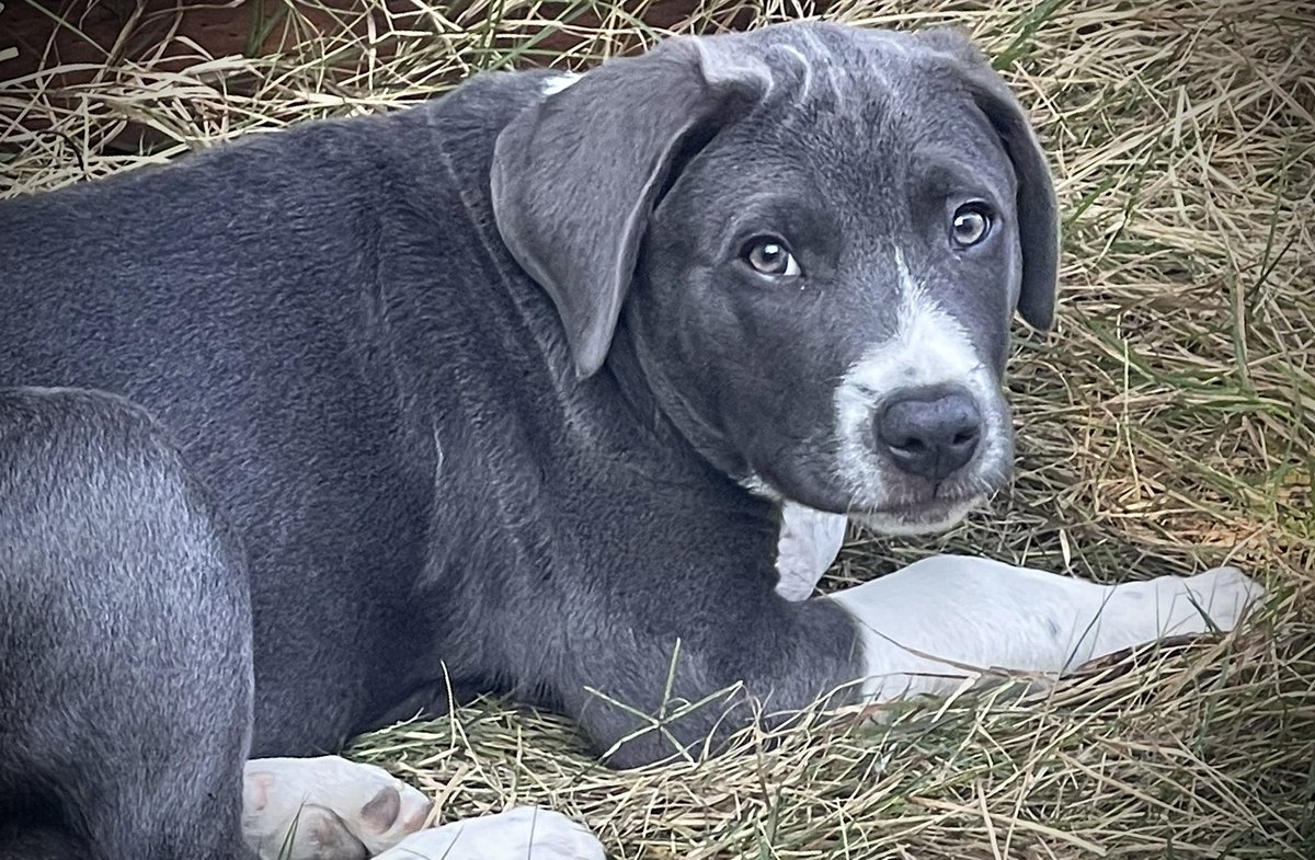 Paul Baca tweet media