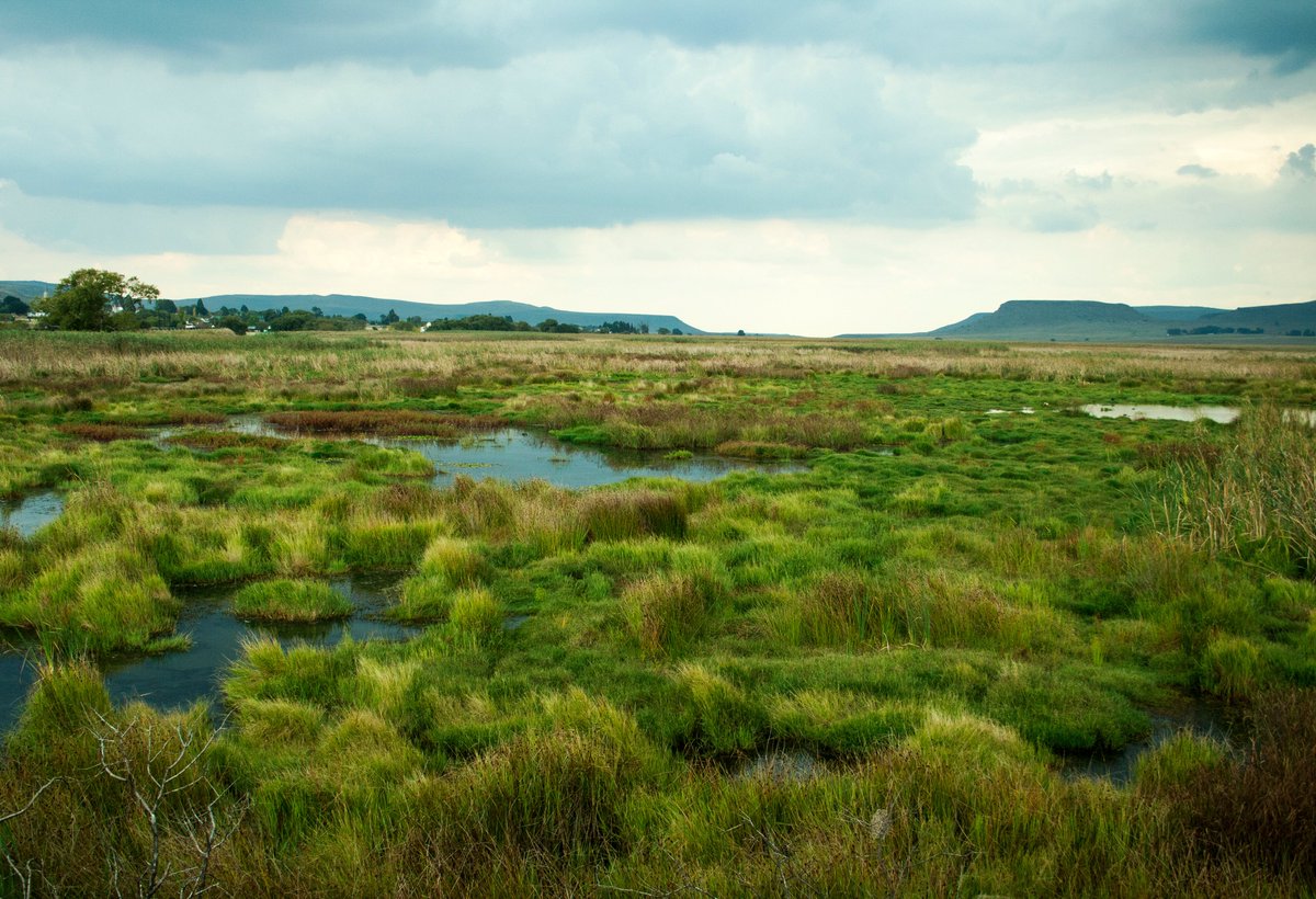 USDA is investing $7 million in eight projects to support the development of wetland mitigation banks for agricultural producers through the Wetland Mitigation Banking Program (WMBP). nrcs.usda.gov/programs-initi…