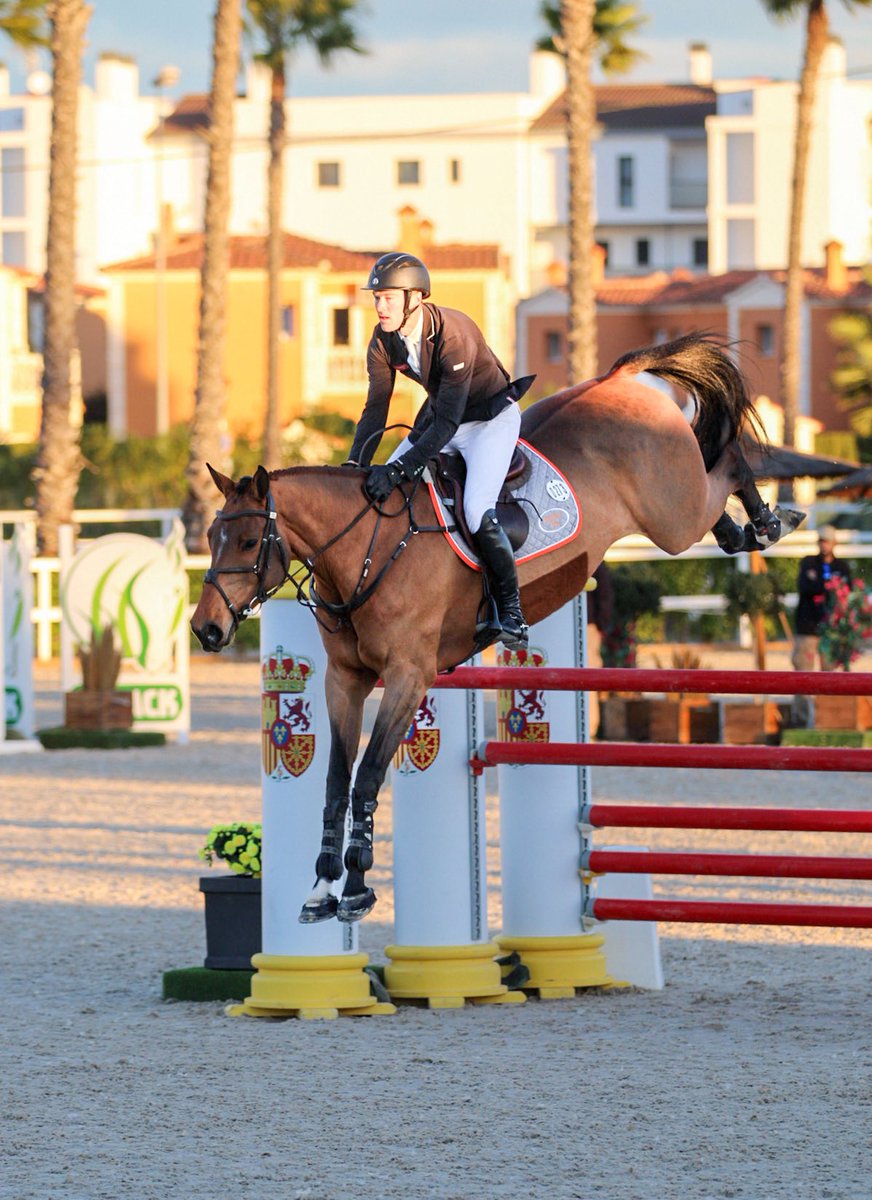 Millfield Quickstep jumping a great round in Sundays 1.45LR #met #oliva #spain #2024 #showjumping #horses #equestrian 📷 <a href="/camillabingham/">Camilla Bingham</a>