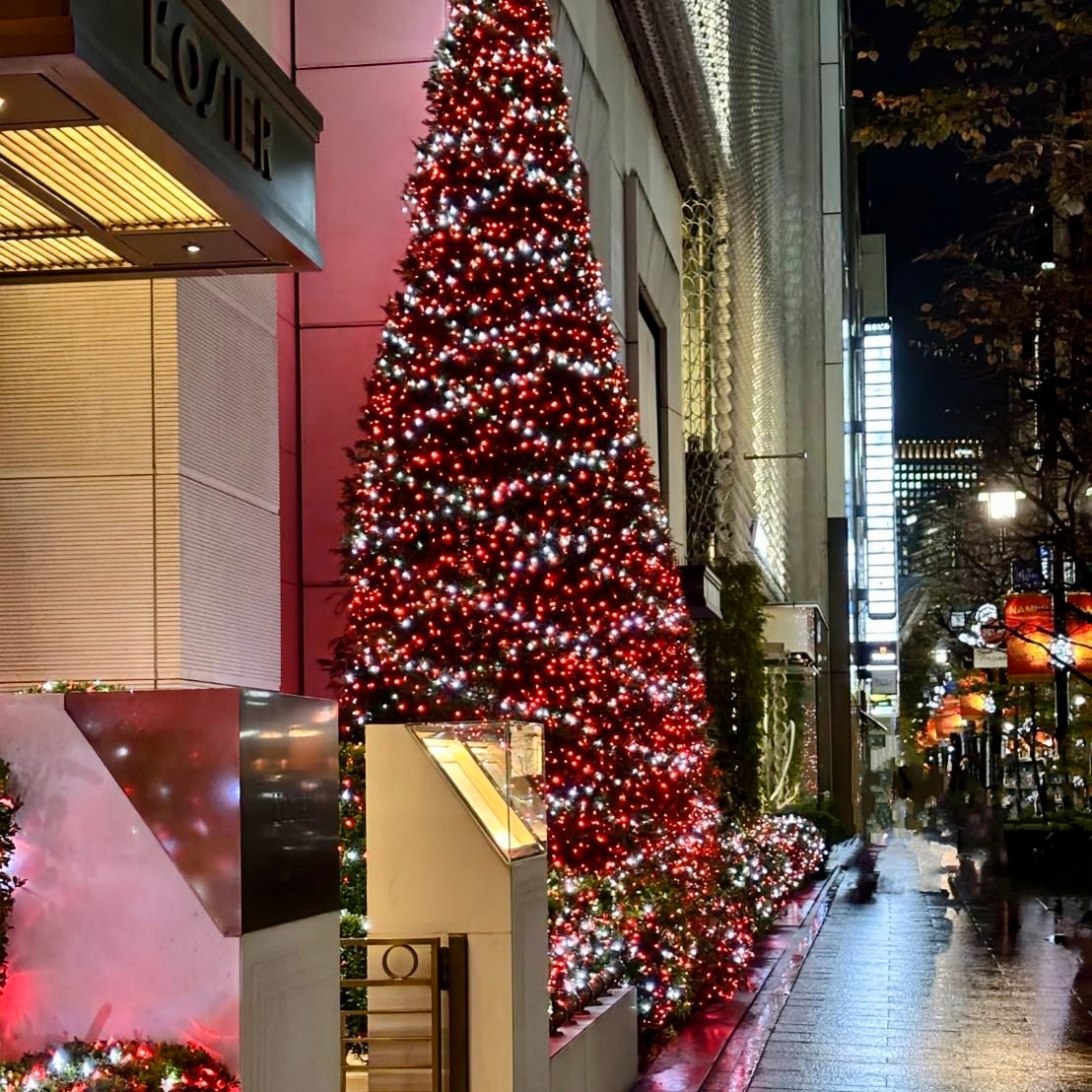NoblePearl's tweet photo. 当店スタッフが帰り道に、銀座7丁目の並木通りにお店を構える #LOSIER さんの #イルミネーション を撮影して来てくれました。
赤を基調としたとしたクリスマスツリーとプロジェクターによるシンボルデザインの投影、高級感溢れる建物は異空間に居るような感覚を覚えます。
是非ご覧くださいませ。 https://t.co/5U47aOkfmL