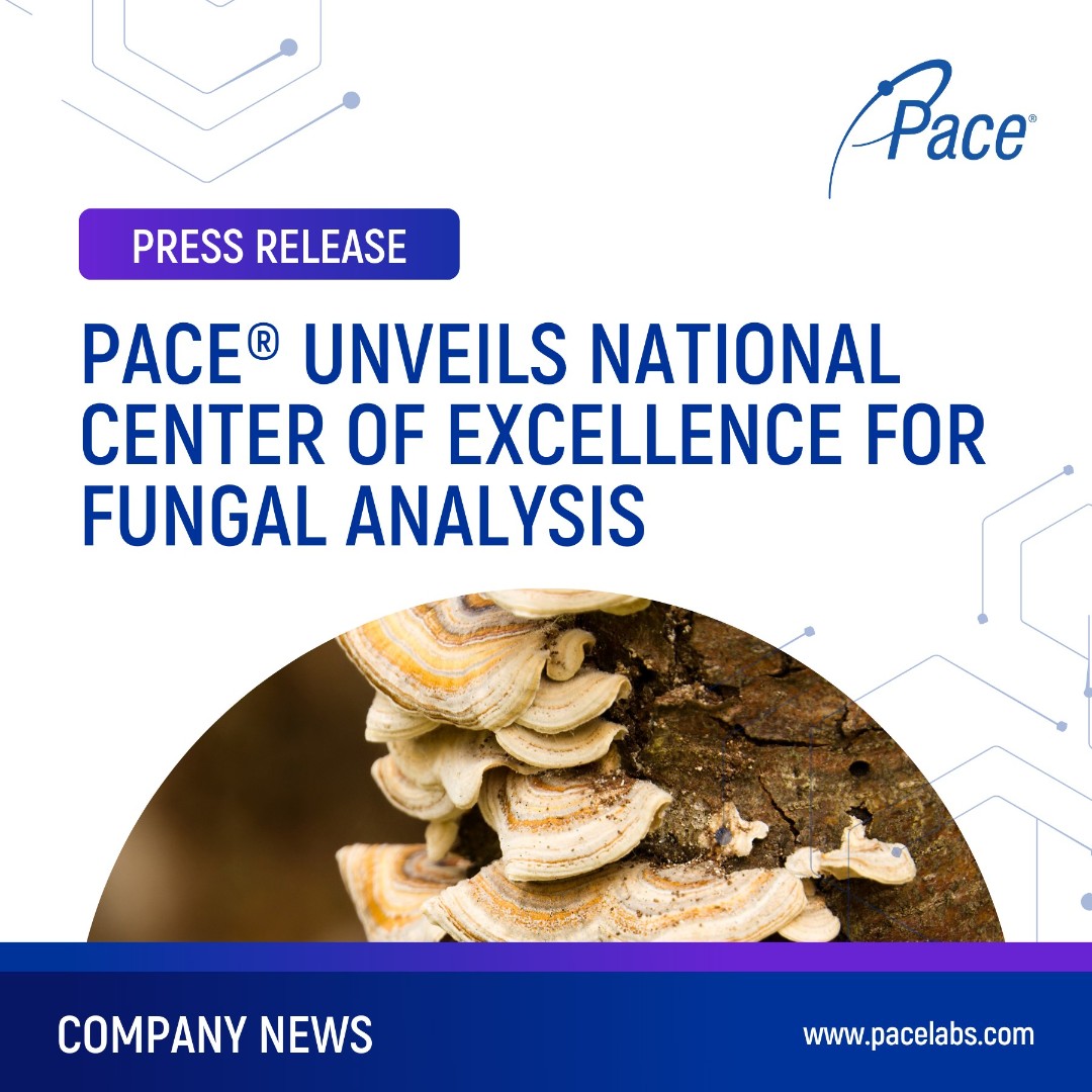 PaceLabs's tweet image. ICYMI, Pace® launched a National Center of Excellence (CoE) for Fungal Analysis in Pennsauken, NJ! 🔬 

Read more 👉 ow.ly/C0SK50UnIFH

#PaceLabs #PaceAnalytical #fungalanalysis #mycologynews