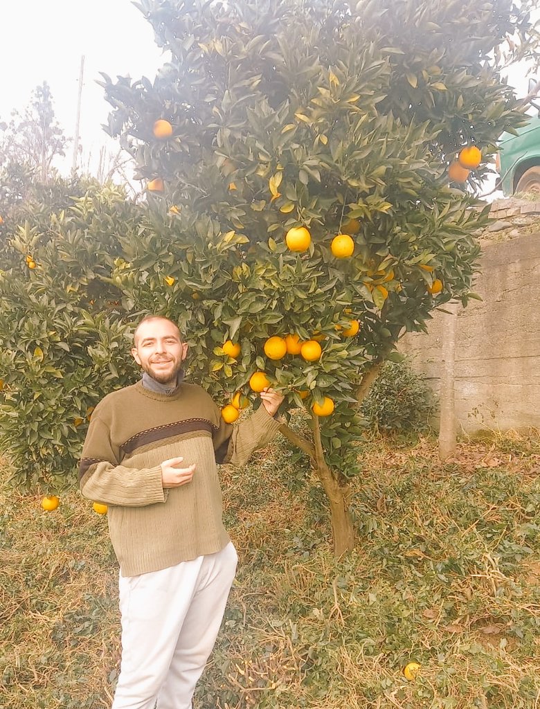 Karadeniz'de bulunan mikroklima alanı
Turunçgiller ailesinin yetişmesine imkân sağlamaktadır 🍊
📍 TRABZON, OF