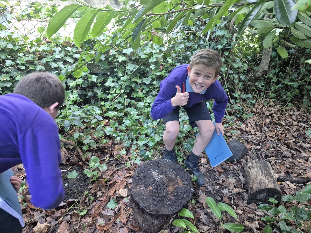 CCCRPrimary's tweet photo. We classified animals in the woodland garden. Ask year 6 what species we found! #cccrscience https://t.co/tzebExQELb