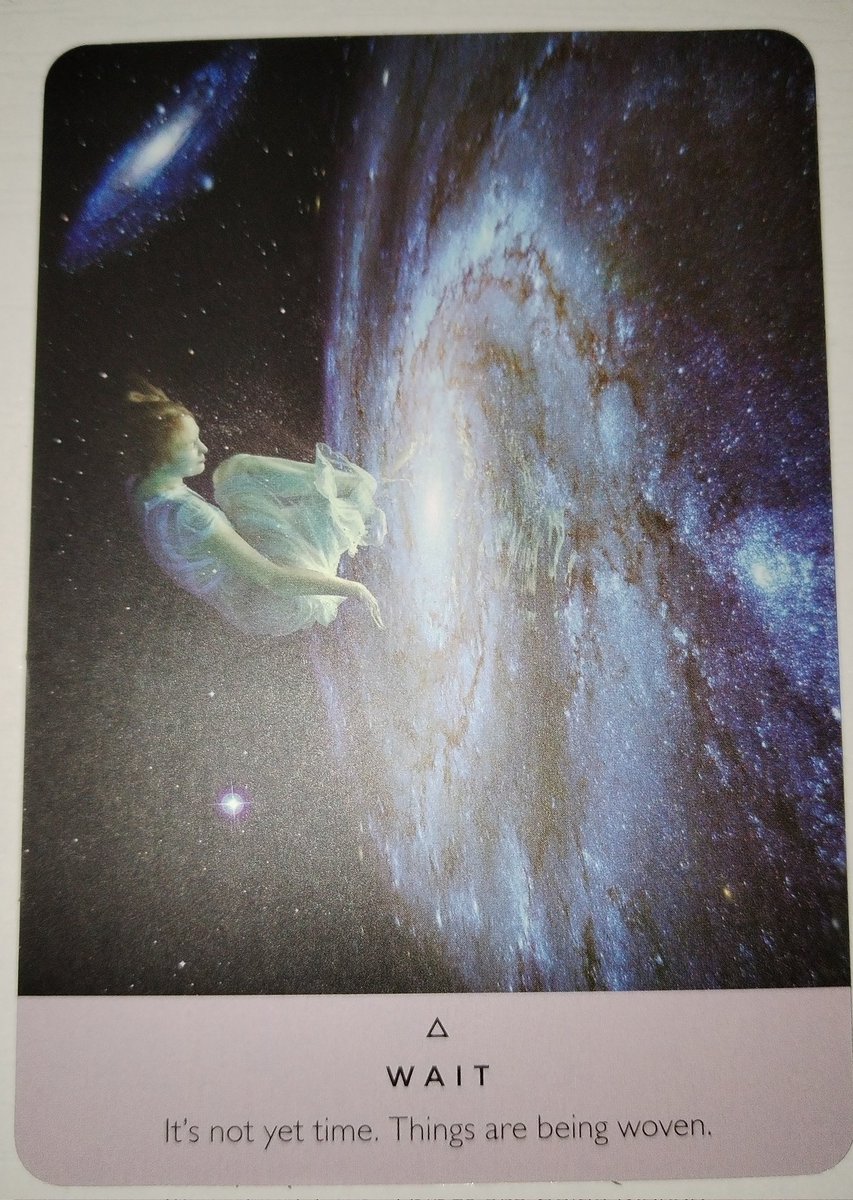 didsastrotarot's tweet image. #oracleoftheday 💫