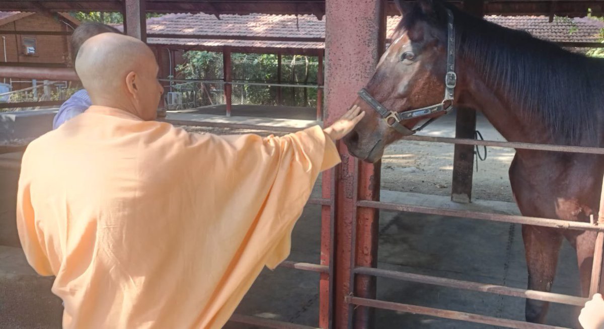 Radhanath Swami tweet media