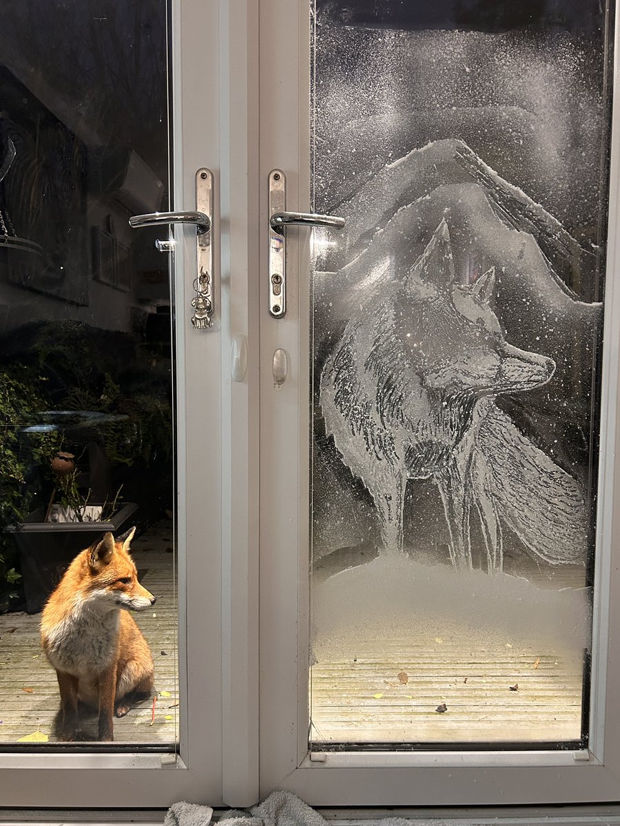 Gill Merritt tweet media