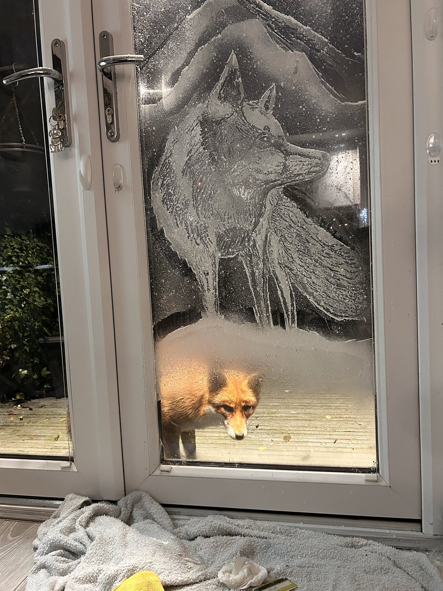 Gill Merritt tweet media