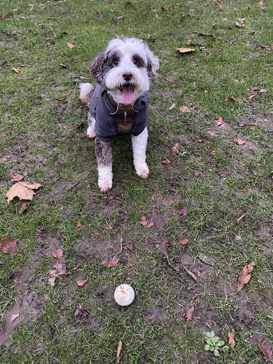 BeMoreBob tweet media