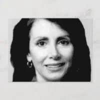 LagerthaMuadDib's tweet photo. NANCY PELOSI - A USE CASE FOR TERM LIMITS
