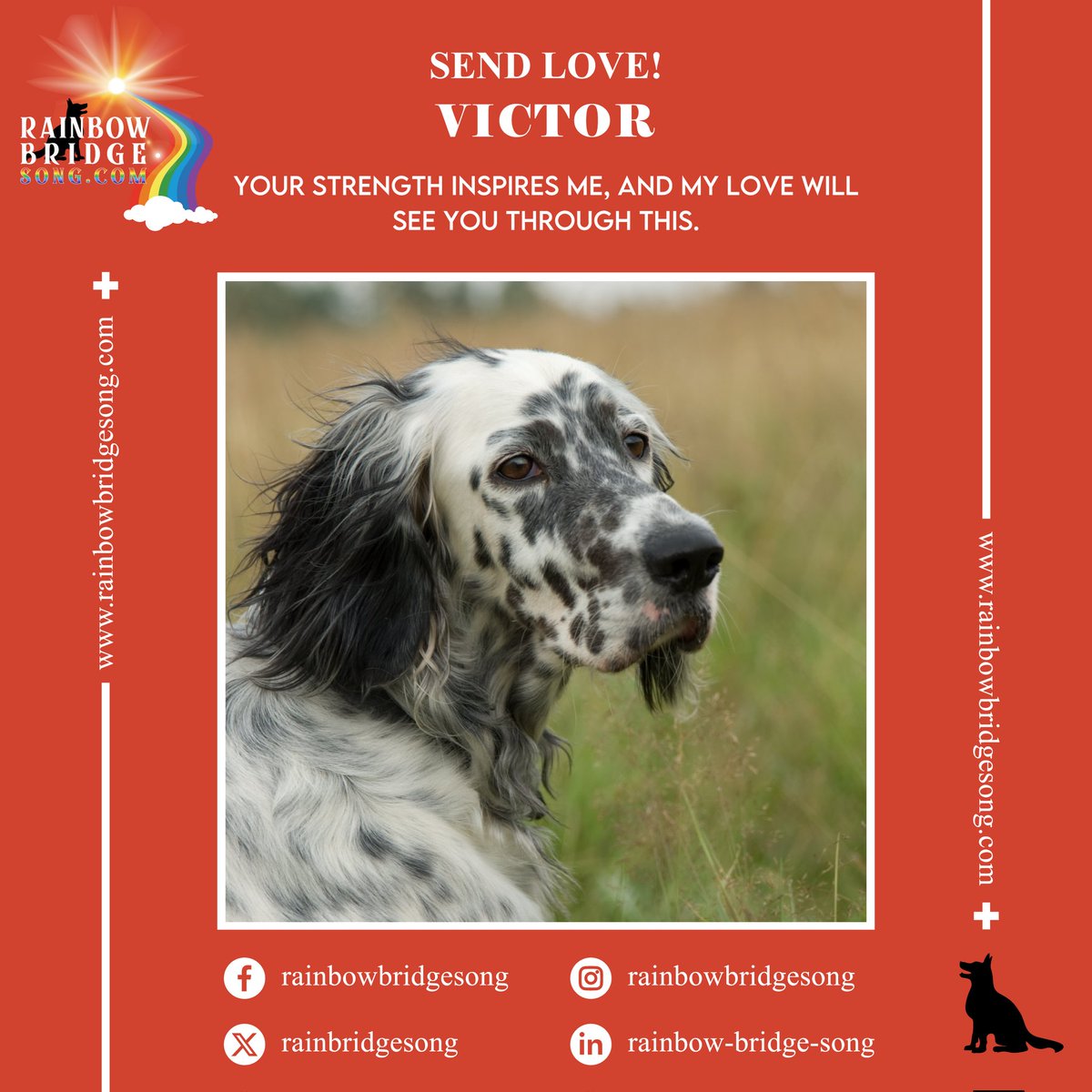 RainBridgeSong's tweet photo. Your strength inspires me, and my love will see you through this.

#RBS #RainbowBridgeSong #RainbowBridge #SendLove #PetsLove #DogsAreFamily #Cute #PetPhotography #Pet #Dog #Puppy #Love #GetWellSoonPup #HealingHugsForDogs #PawsitiveVibes #PetWellness #HealingLoveForPets https://t.co/uS4NZb4K7u