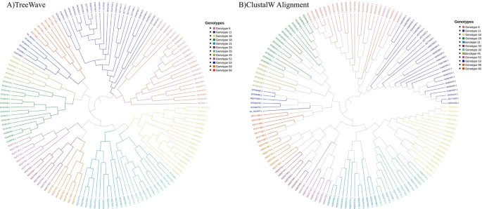 BMC_series's tweet image. In #BMCBioInformatics, researchers from Mohammed V University in Rabat present TreeWave, an open source and user-friendly command line tool for phylogeny reconstruction. It is a faster and more scalable tool that maintains accuracy.
TreeWave is free
go.sn.pub/51gt5w