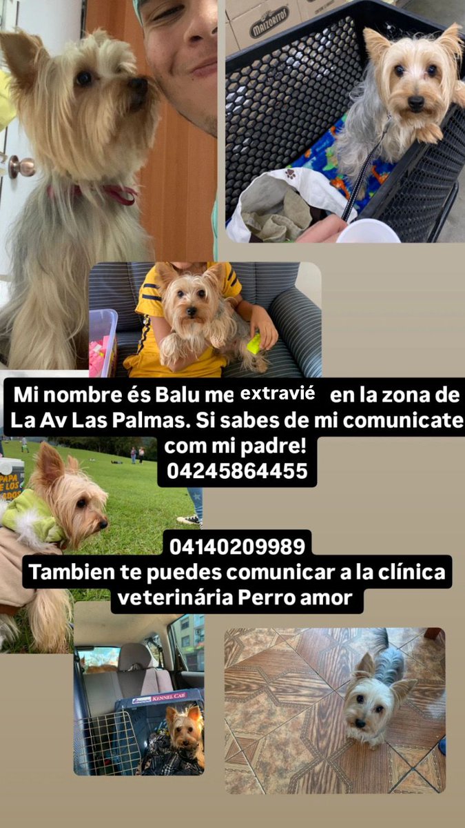 Magdalena Noda (@magdanoda) on Twitter photo 