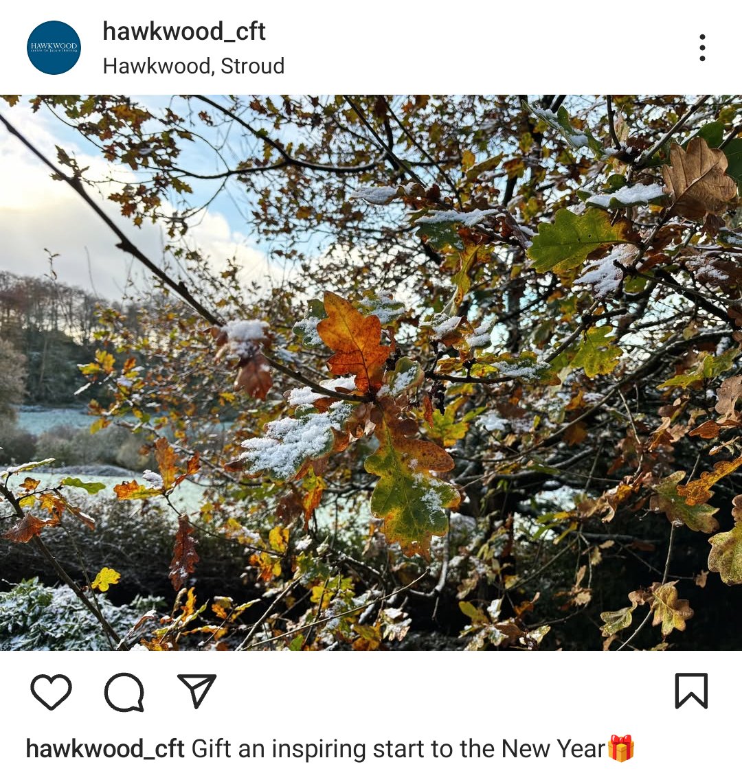 Ally Wilkes / AV Wilkes tweet media