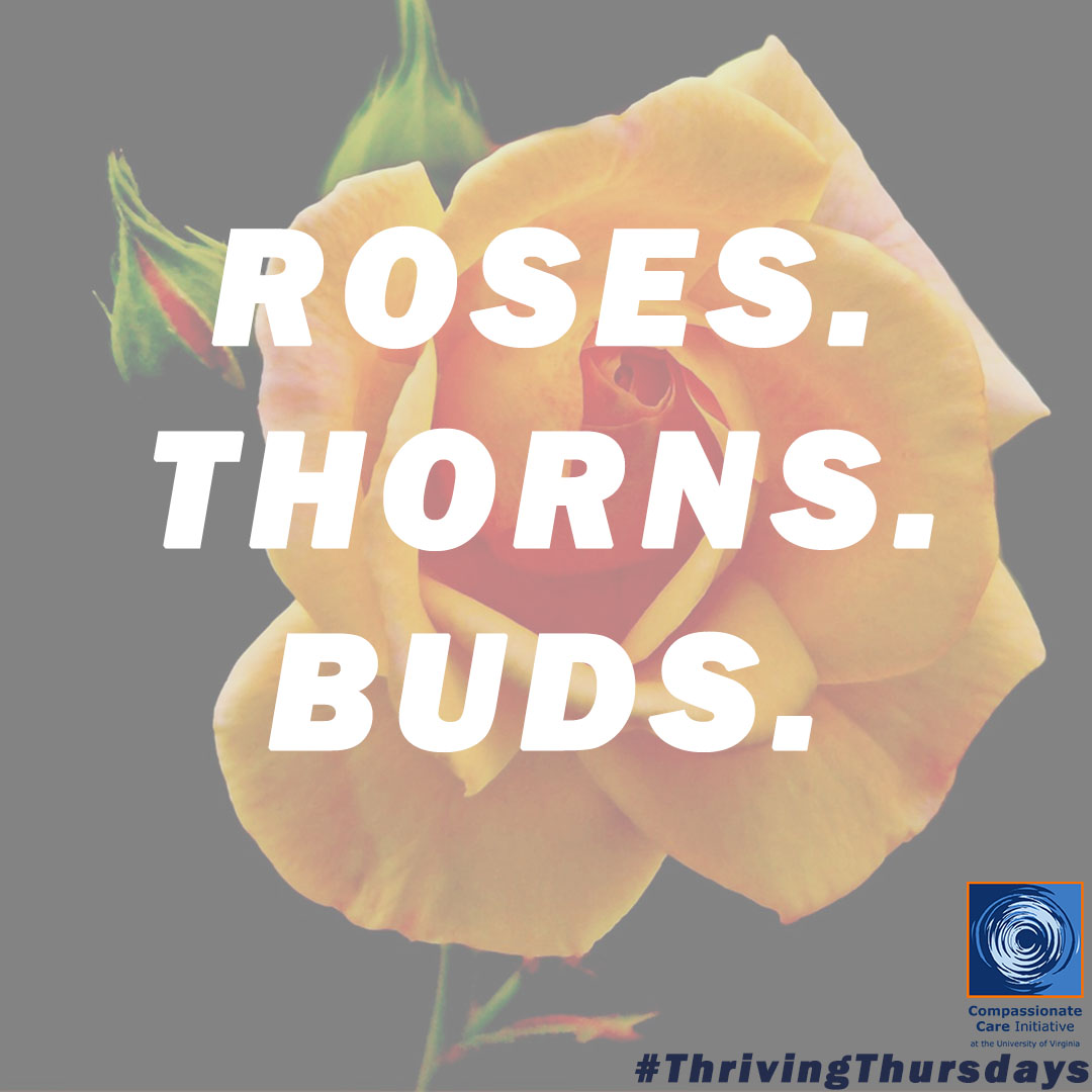 Roses (+), Thorns (-), &amp; Buds (💡🌈) is a simple yet powerful team #reflection practice that can be project or time specific, depending on your #team and workflow. It's a great way to foster open communication, reflect together, and grow stronger.

#CCI #ThrivingThursdays