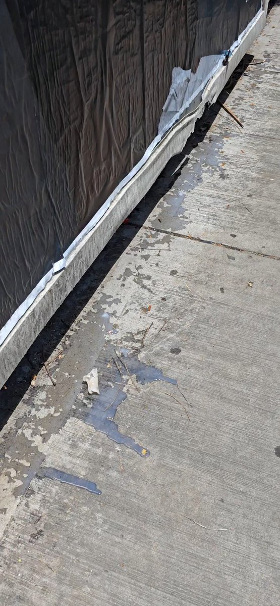 Cada vez que entro a twtr (x) yo: