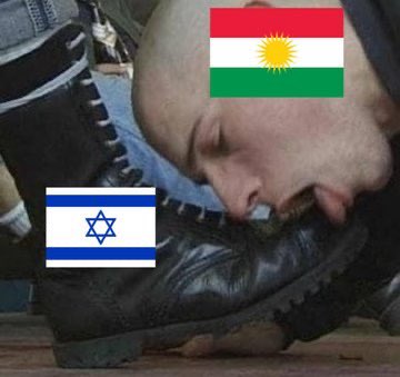 KaranliginKizi7's tweet photo. ABD nin İSRAİLİN TASMALI #WC
#İTLERİ🐕 HAVLAMIŞ😏
İSRAİL #POSTALI YALAMAKTAN #DİLLERİ ŞİŞMİŞ
#VATANSIZ RUHU #SATILIK ONUN BUNUN TASMALI #İTLERİNİN🐕
#SUR da ANALARININ #FİSTANLARINI GİYİP KAÇMAYA ÇALIŞTILAR
YAKINDA!
#DANSÖZ KIYAFETİ GİYDİRİP #ÇÖLLERDE OYNATACAZ VATANSIZ #İTLERİ https://t.co/Kmvi0unkd8