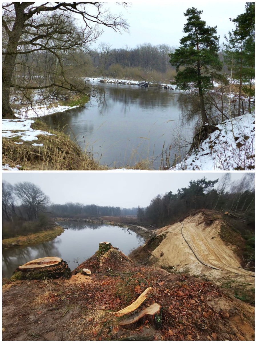 Michał Żmihorski tweet media