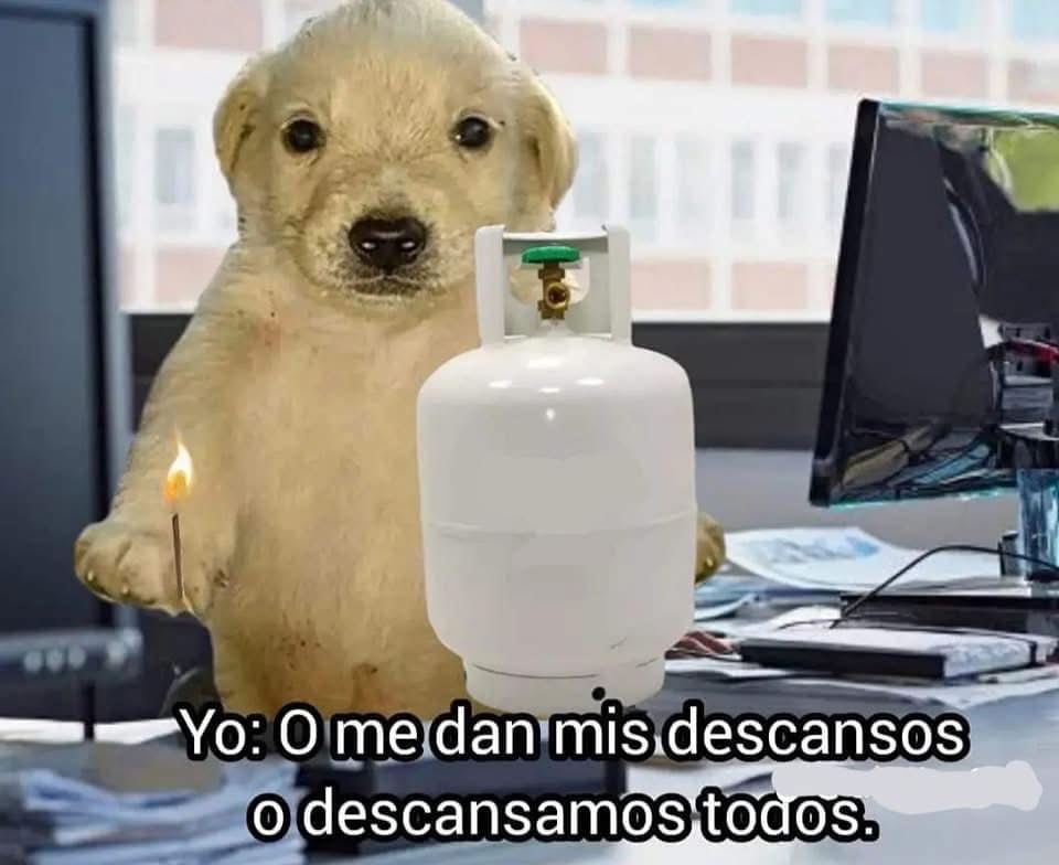 Guarromantico_'s tweet photo. Mi jefe: No tendrán descanso el 24 y 31

Yo en corto: https://t.co/twYEIvfkUG