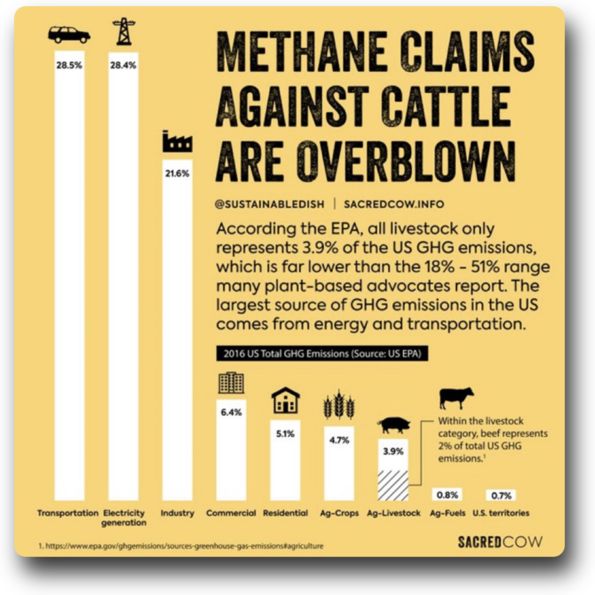 Willis Eschenbach tweet media