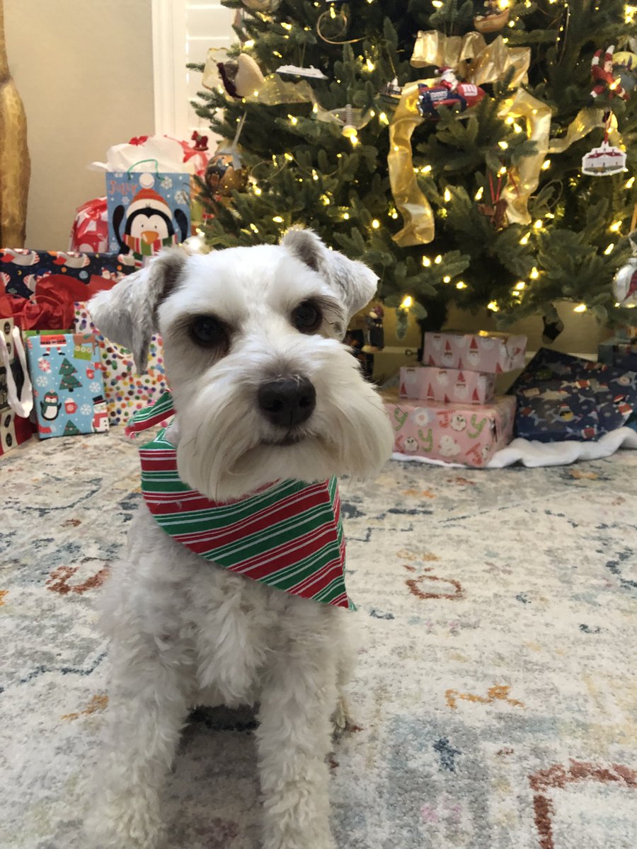 Timothy D. Keller tweet media