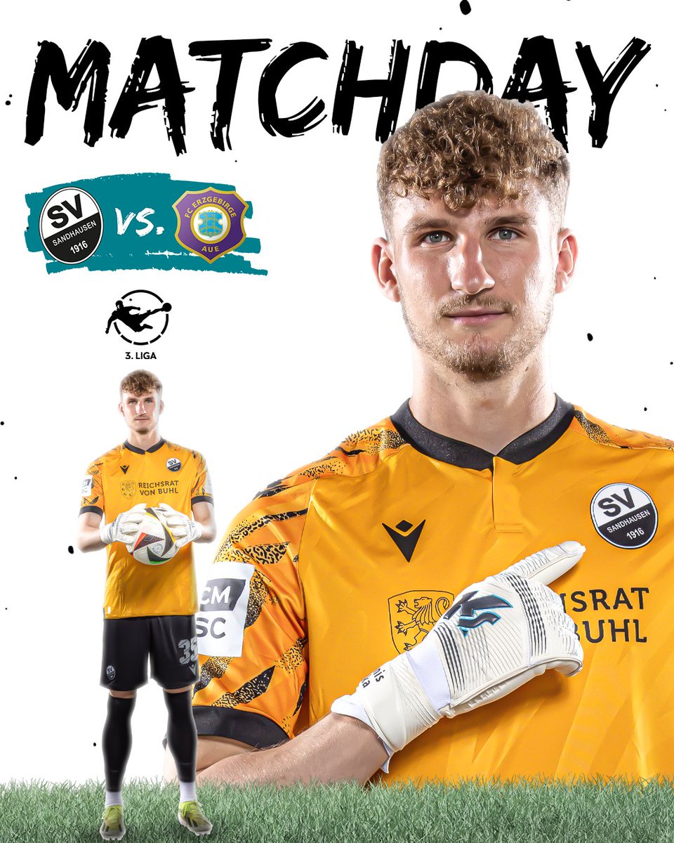 SV Sandhausen 1916 e.V. tweet media