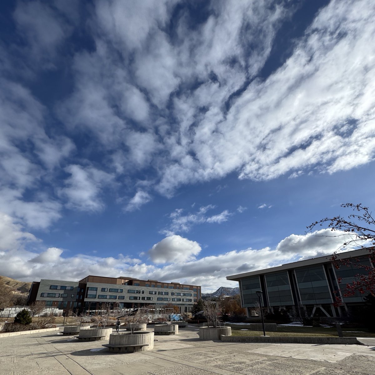 University of Utah tweet media