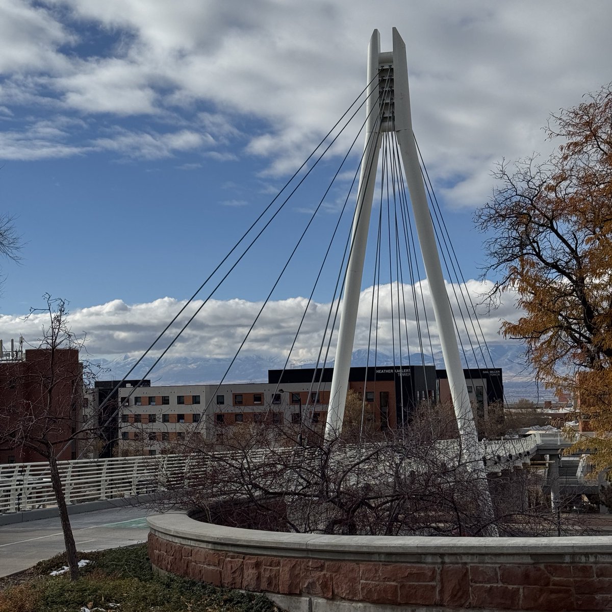 University of Utah tweet media