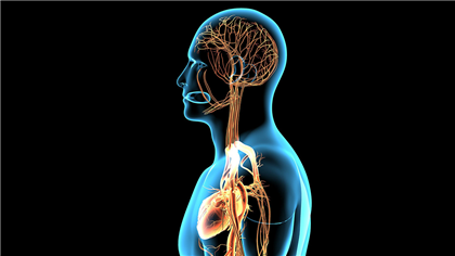 AllPennyStocks's tweet photo. Firm Using AI to Transform Clinical Trials Sees Share Price Gain $AIAI:CNX $AINMF #AI #NetraMark https://t.co/1L6TnTByTI https://t.co/T8FVoZWI5n