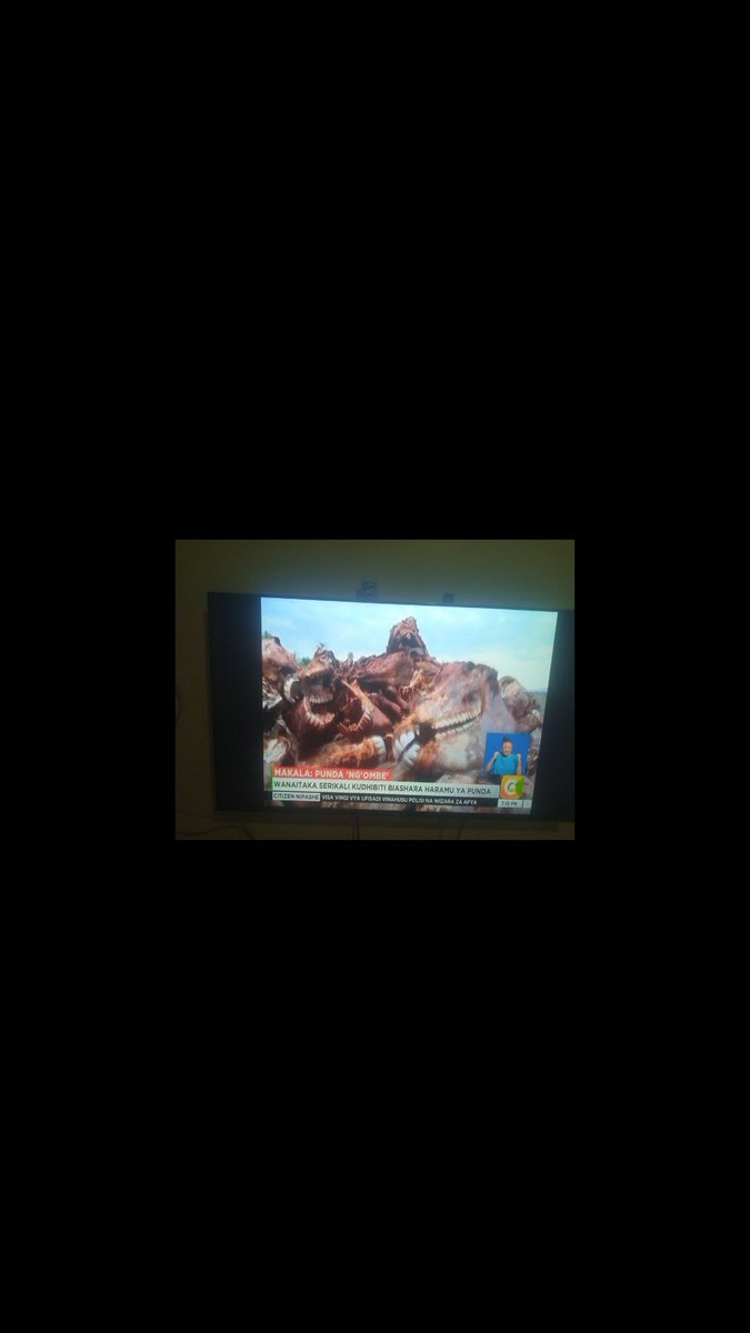 Bookten8's tweet photo. Watching news today
#EndDonkeyslaughter https://t.co/dDSr0tocAp