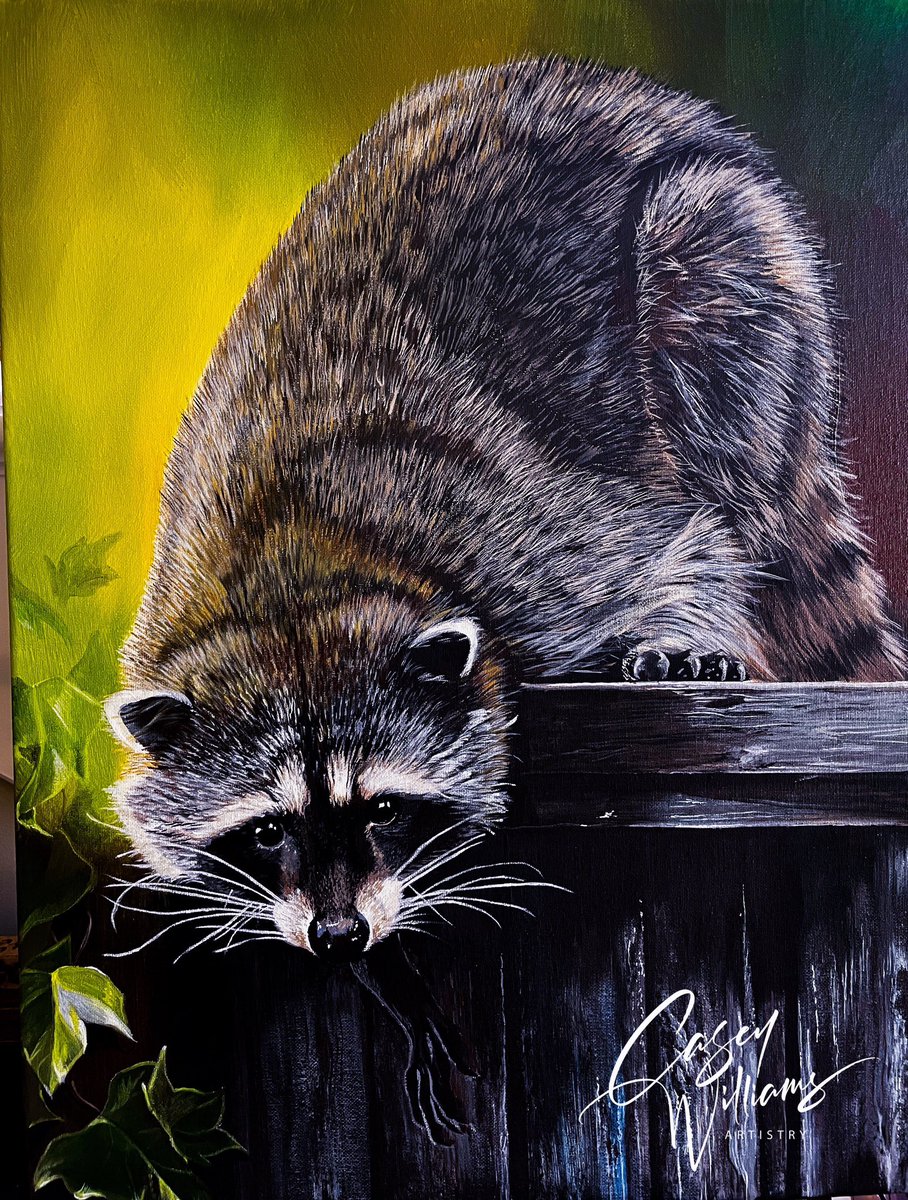 chasingsunshine☀️ tweet media