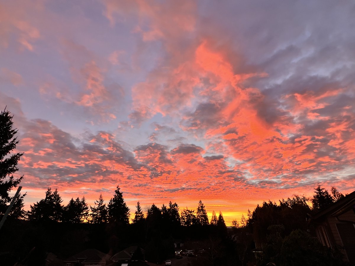 webbish6's tweet photo. On the blog this week: A Busy Week of Pre-Holiday Teaching, Celebrating with Friends, SAL Event with Aimee Nezhukumatathil, Balancing Spoons and Light and More: https://t.co/Ob08Wt2AmM #poetfriends #chronicillness #SALAimee #busyweeks https://t.co/c9CGdjzDhW