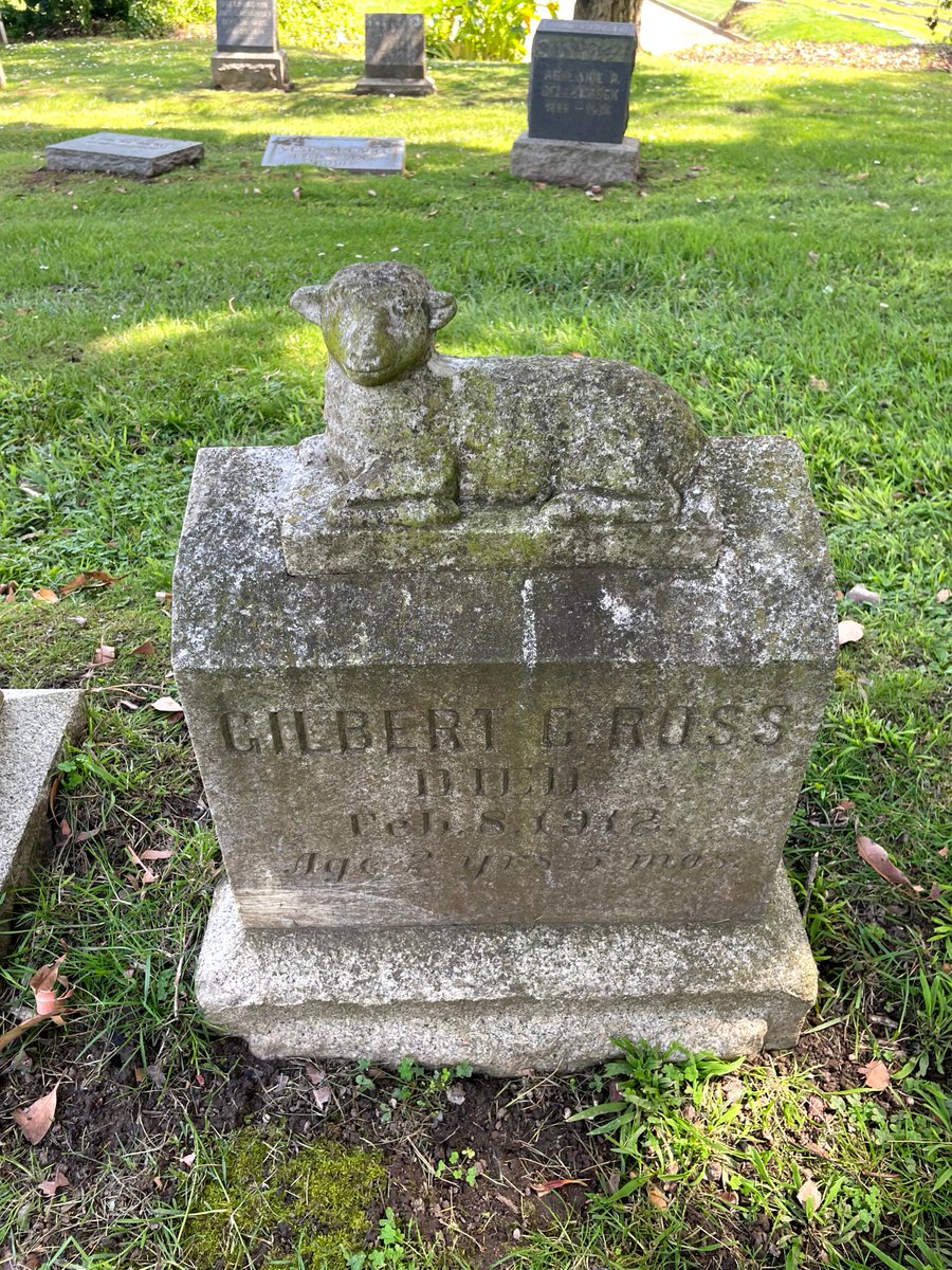 Graves, Mostly Colma tweet media