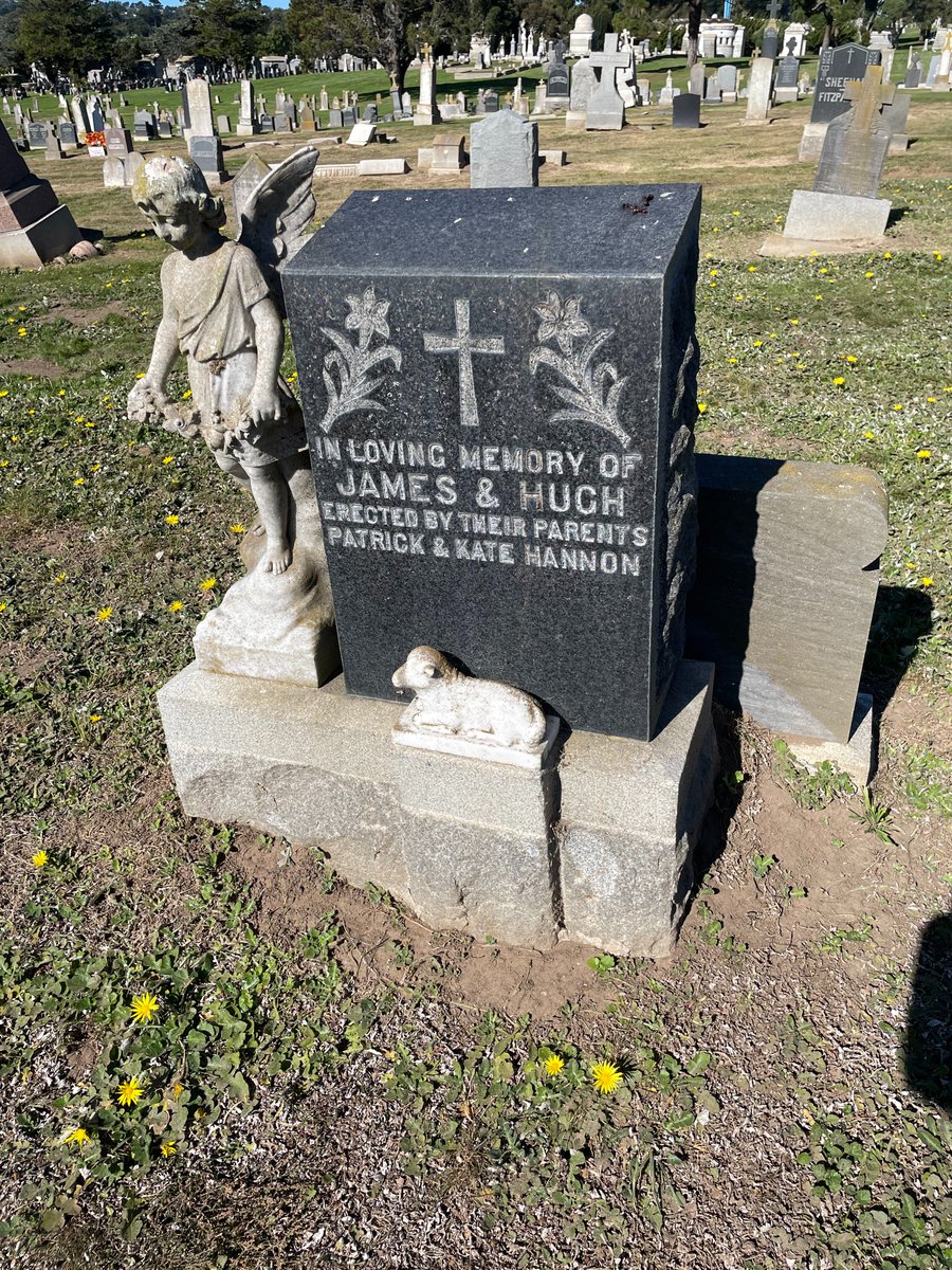 Graves, Mostly Colma tweet media