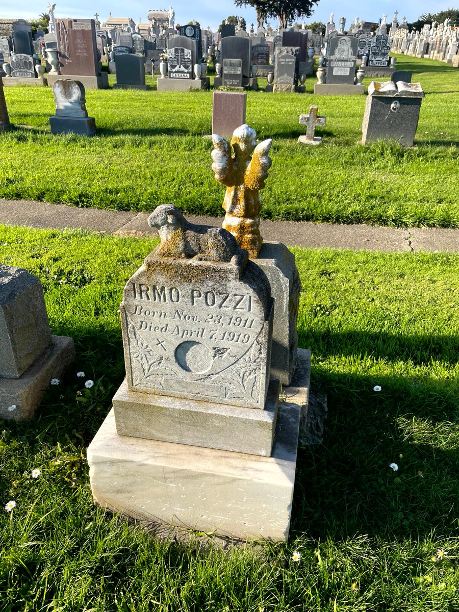 Graves, Mostly Colma tweet media