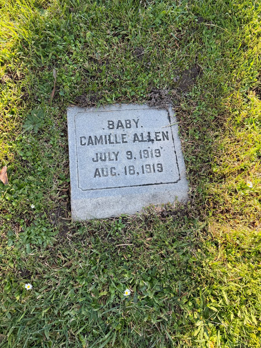 Graves, Mostly Colma tweet media