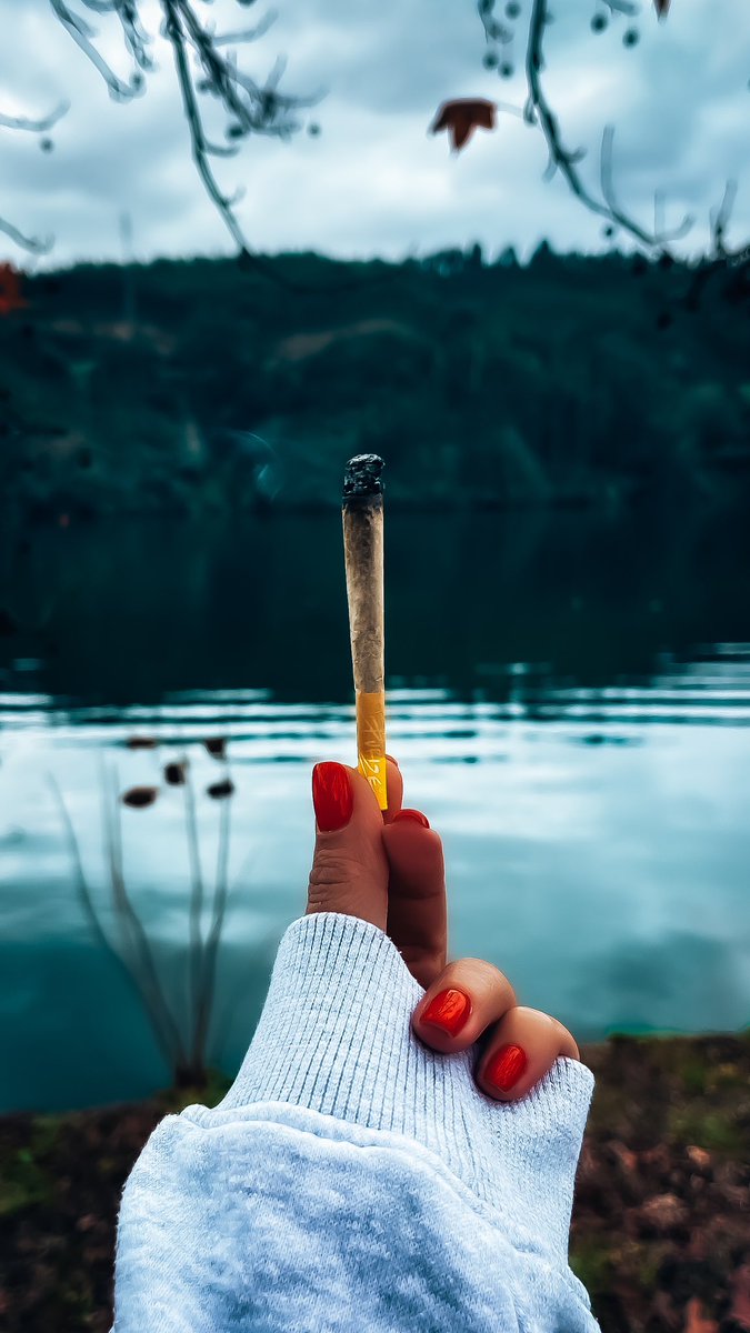 highlifeislife_'s tweet photo. Cheers! π
#highlifeislife #highsociety #cannabiscommunity #cannabisportugal #cannabisculture #cannabiseu #cannabisphotography #cannabislife #dailycannabis #weedwomen #Mmemberville https://t.co/8E2LwAc34I