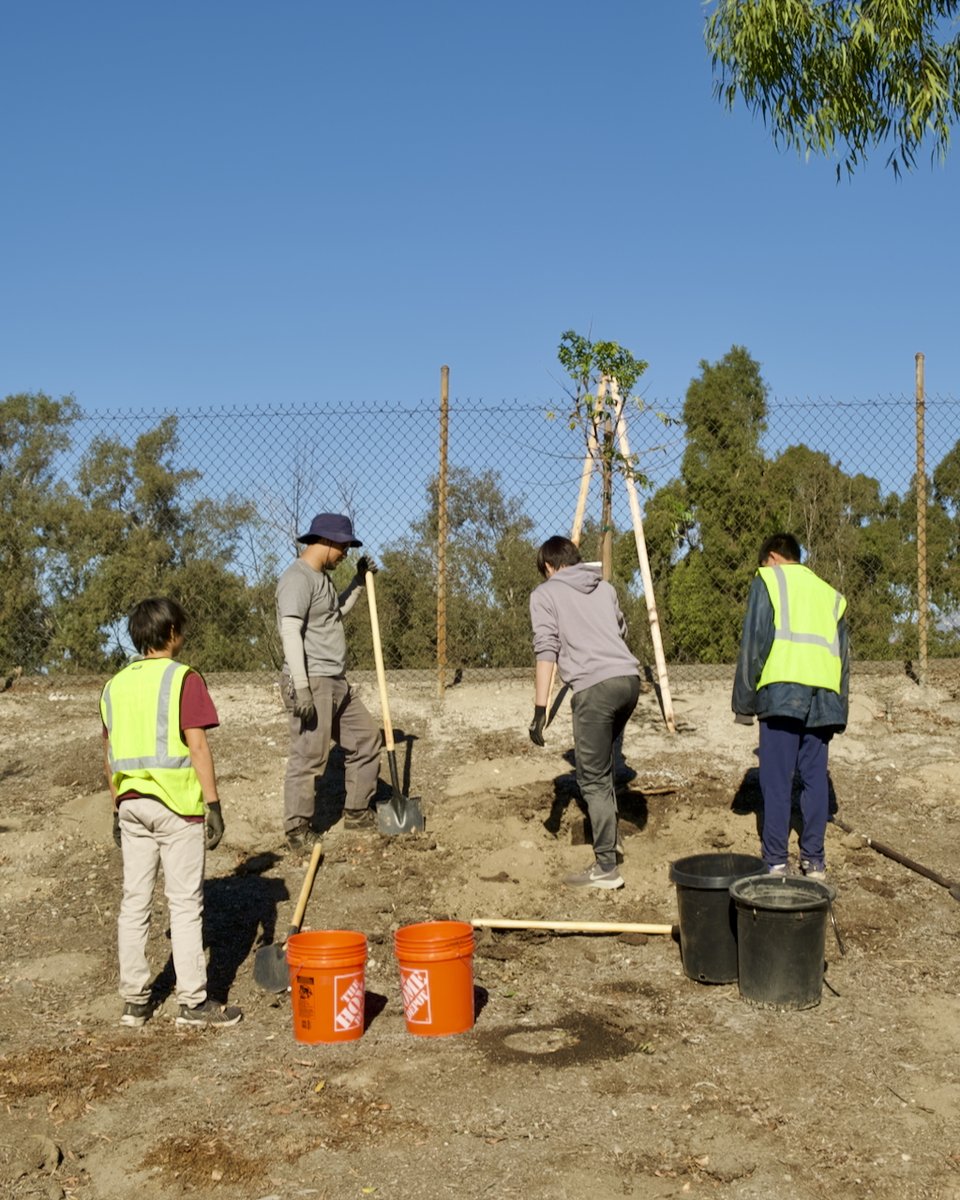 ActiveSGV's tweet photo. 🌳 Awesome time planting trees at Fletcher Park with Tree People & El Monte Treevengers this past Saturday!
These trees will clean our air, fight climate change & keep us cool. 🌳 #CommunityAction #ElMonte #TreePlanting #ActiveSGV https://t.co/3prtqG3Dpl