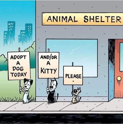 gregorio catarino (@gregcatarino1) on Twitter photo 