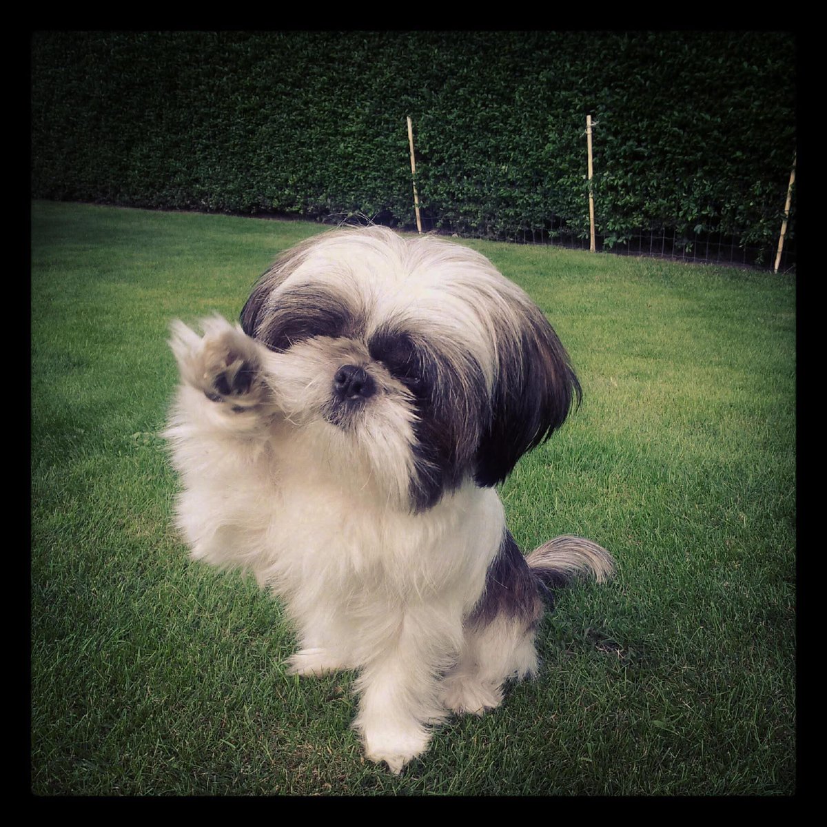 Rob Coenen tweet media