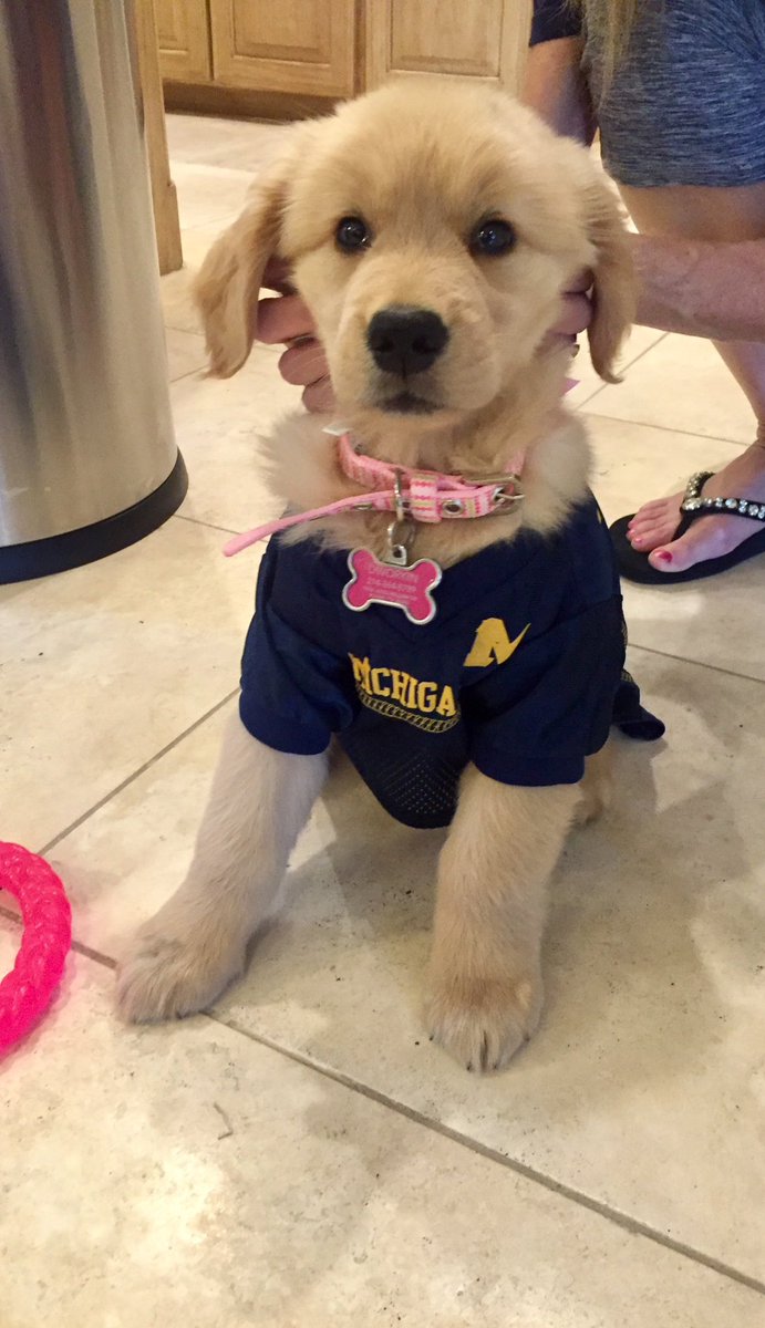 rickid_'s tweet photo. @KirkHerbstreit Maizy Blue says congrats @ChaseHerbstreit ! https://t.co/hiodxbkbIf