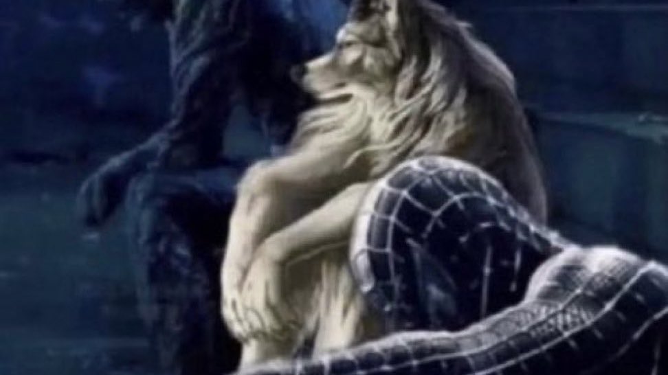 CachorroGremio's tweet photo. EU DEPOIS DE PASSAR O ANO TODO XINGANDO O RENATO

VENDO ELE CHORAR NO VÍDEO DE DESPEDIDA https://t.co/6Xk7tmEzwk