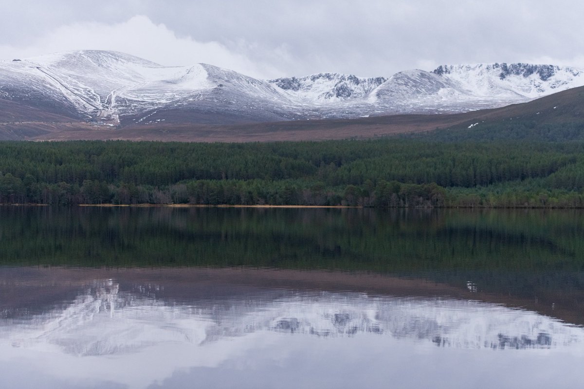 Liam Yule (@liamyule83) on Twitter photo Lovely few days away with the family in aviemore!
<a href="/VanguardPhotoUK/">VanguardPhotoUK</a>
<a href="/VisitScotland/">VisitScotland</a>
<a href="/LochMorlich/">Loch Morlich</a>
#onemanandhisnikon
#photography Lovely few days away with the family in aviemore!
<a href="/VanguardPhotoUK/">VanguardPhotoUK</a>
<a href="/VisitScotland/">VisitScotland</a>
<a href="/LochMorlich/">Loch Morlich</a>
#onemanandhisnikon
#photography
